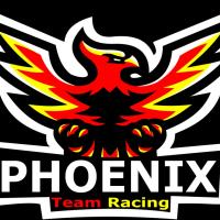 Logo - Team Racing Phoenix 91 e-sport
