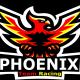 Team Racing Phoenix 91 e-sport